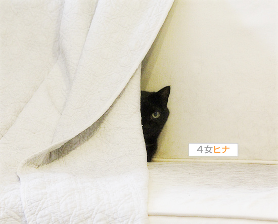 今日の暴君_a0389088_18175981.jpg