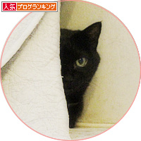 今日の暴君_a0389088_18175983.jpg