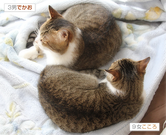 出生の秘密_a0389088_18175989.jpg
