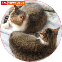 出生の秘密_a0389088_18180052.jpg
