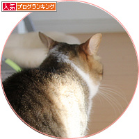 愛が重すぎて_a0389088_18180102.jpg