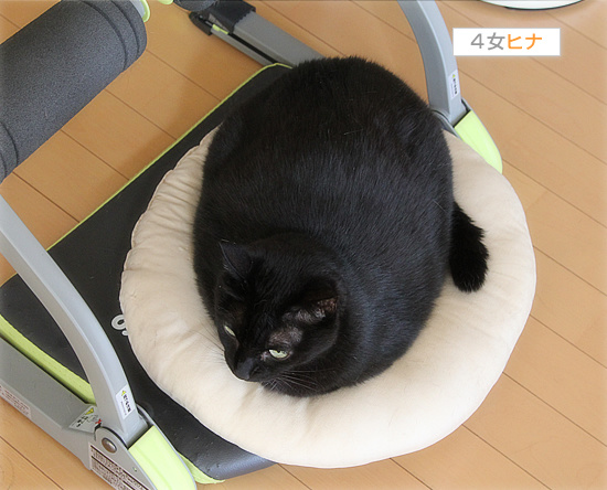 それぞれの言い訳_a0389088_18180134.jpg