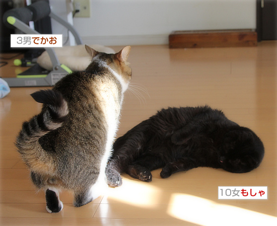 愛が重すぎて_a0389088_18180170.jpg