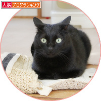 それぞれの言い訳_a0389088_18180195.jpg