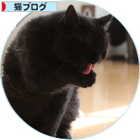 死にかけていた猫_a0389088_18180225.jpg