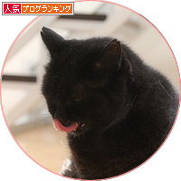 死にかけていた猫_a0389088_18180269.jpg