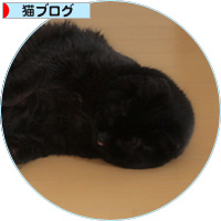 愛が重すぎて_a0389088_18180271.jpg
