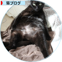 真の姿を披露!_a0389088_18180380.jpg
