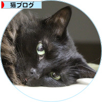 それでもポーズは忘れません_a0389088_18180420.jpg