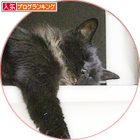 それでもポーズは忘れません_a0389088_18180455.jpg