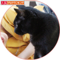取材を受けました・・・が!_a0389088_18180520.jpg