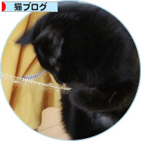 取材を受けました・・・が!_a0389088_18180530.jpg