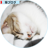 男は耐えるもの_a0389088_18180584.jpg
