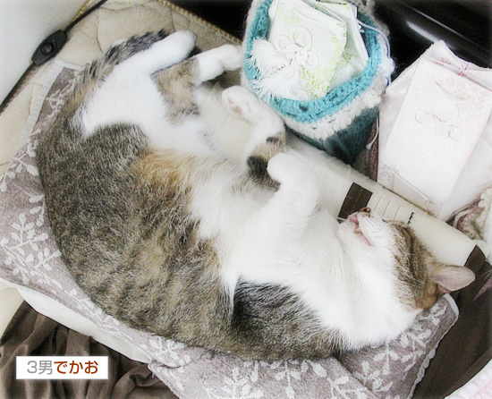 ドキっとする_a0389088_18180615.jpg