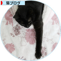 長い猫_a0389088_18180641.jpg