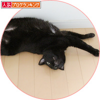 長い猫_a0389088_18180644.jpg