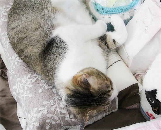 ドキっとする_a0389088_18180798.jpg