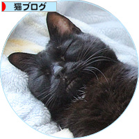 ついに負けました_a0389088_18180825.jpg