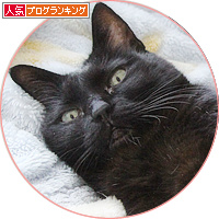 ついに負けました_a0389088_18180884.jpg