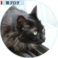 猫的誤報_a0389088_18180930.jpg