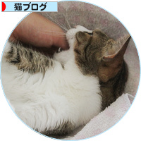 世界一心地いい起こし方_a0389088_18181014.jpg