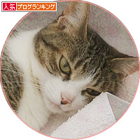 世界一心地いい起こし方_a0389088_18181047.jpg