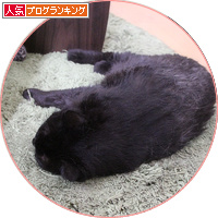 何が何でも、駆けつけなければならない時_a0389088_18181050.jpg