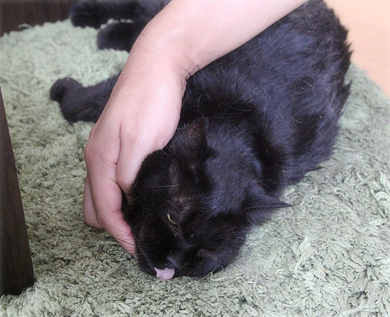 何が何でも、駆けつけなければならない時_a0389088_18181053.jpg