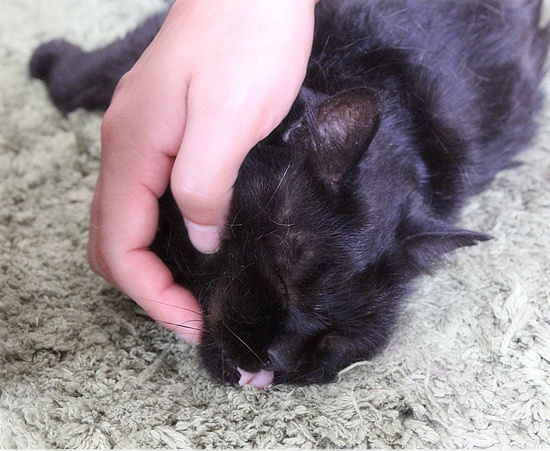 何が何でも、駆けつけなければならない時_a0389088_18181084.jpg