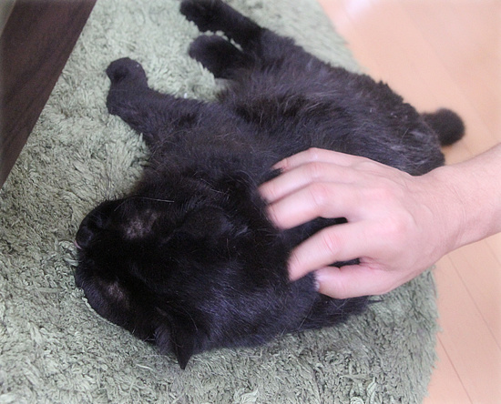 何が何でも、駆けつけなければならない時_a0389088_18181088.jpg