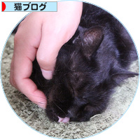 何が何でも、駆けつけなければならない時_a0389088_18181103.jpg