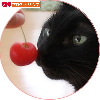 宝石が届いた_a0389088_18181211.jpg