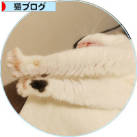 おばあちゃん、天国で見ててね_a0389088_18183140.jpg