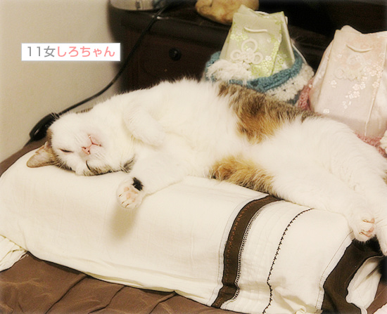 おばあちゃん、天国で見ててね_a0389088_18183151.jpg