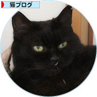暑くてもデート_a0389088_18183202.jpg