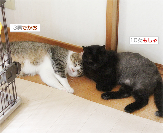 暑くてもデート_a0389088_18183218.jpg
