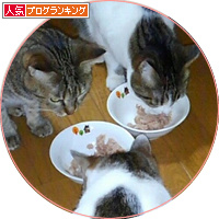 東京からのしあわせ便り_a0389088_18183408.jpg