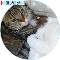 東京からのしあわせ便り_a0389088_18183494.jpg