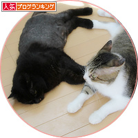 美女は三日で飽きる_a0389088_18184023.jpg