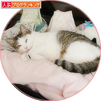 シェルター荒らし_a0389088_18184923.jpg