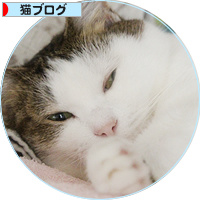 シェルター荒らし_a0389088_18184962.jpg