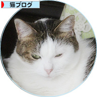 猫は家族!_a0389088_18191424.jpg
