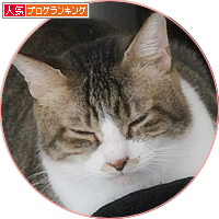 猫は家族!_a0389088_18191489.jpg