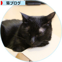 断捨離会議_a0389088_18191556.jpg