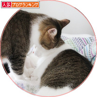【緊急】飼い主急死…助けを必要としています_a0389088_18191600.jpg