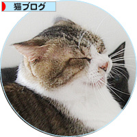 【緊急】飼い主急死…助けを必要としています_a0389088_18191617.jpg