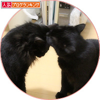 一方通行の愛情_a0389088_18191808.jpg