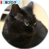 一方通行の愛情_a0389088_18191864.jpg