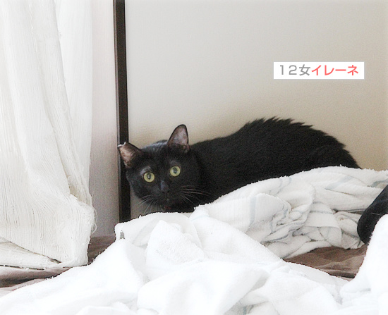 イレーネが、キター!_a0389088_18191934.jpg