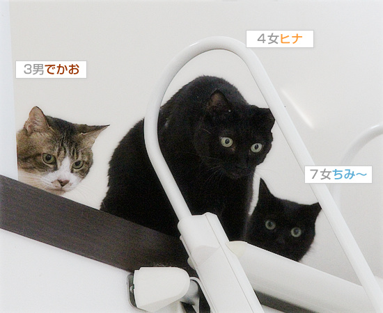 イレーネが、キター!_a0389088_18191943.jpg